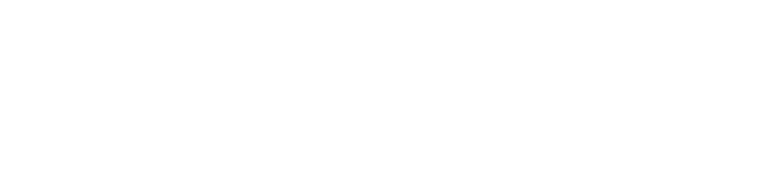 Logo FEV